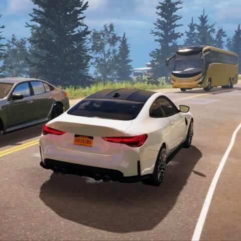 Driving S Simulator