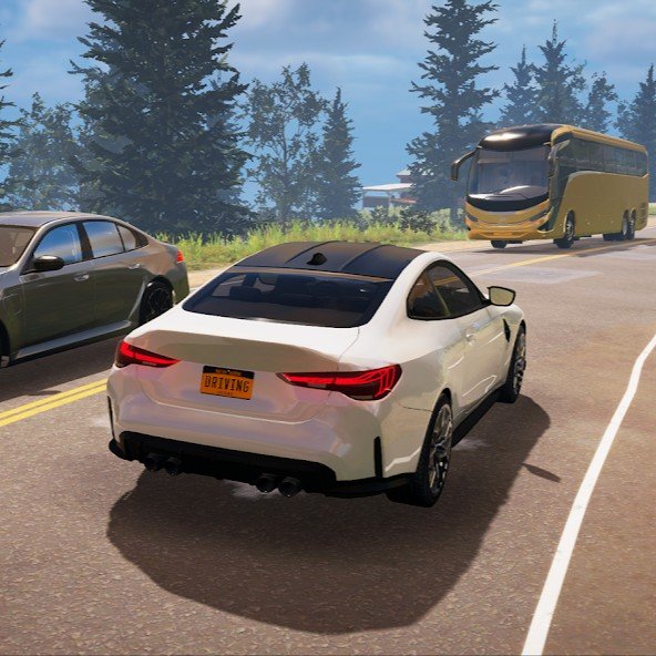Driving S Simulator